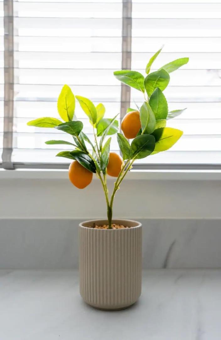 Stylish Cardiff City Apartment エクステリア 写真